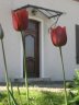 IMG_9540.JPG - 